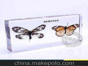 生物教学仪器 供应商选择、价格因素与批发市场指南